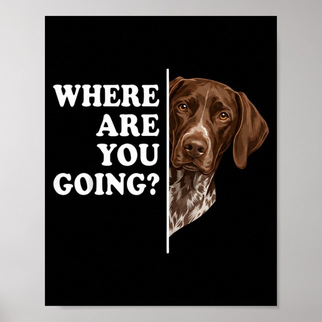 Poster Para Onde Você Está Indo Pointer Alemão de Caça (Frente)