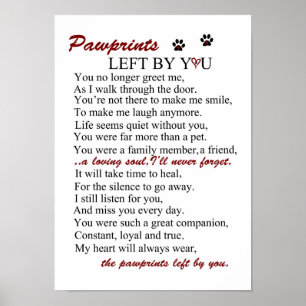 Póster Para Sempre No Meu Coração