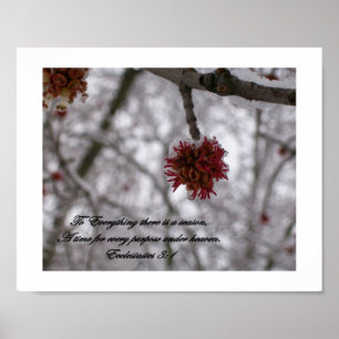 Póster Para Tudo que há há uma temporada