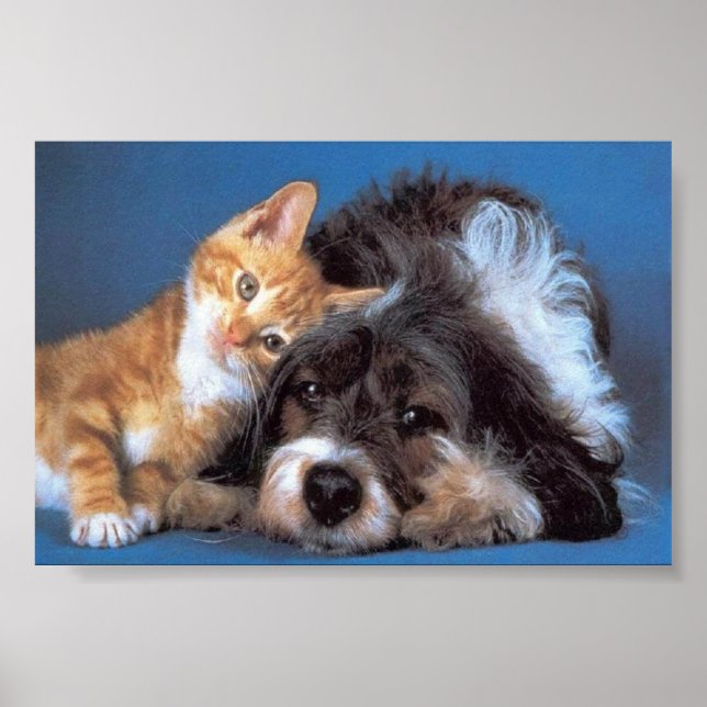 Póster para você (Frente)