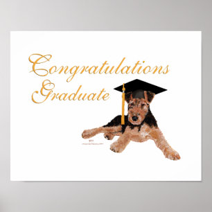 Poster Parabéns Graduado