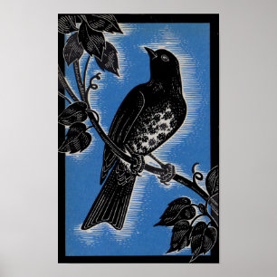 Poster parafuso preto com azul