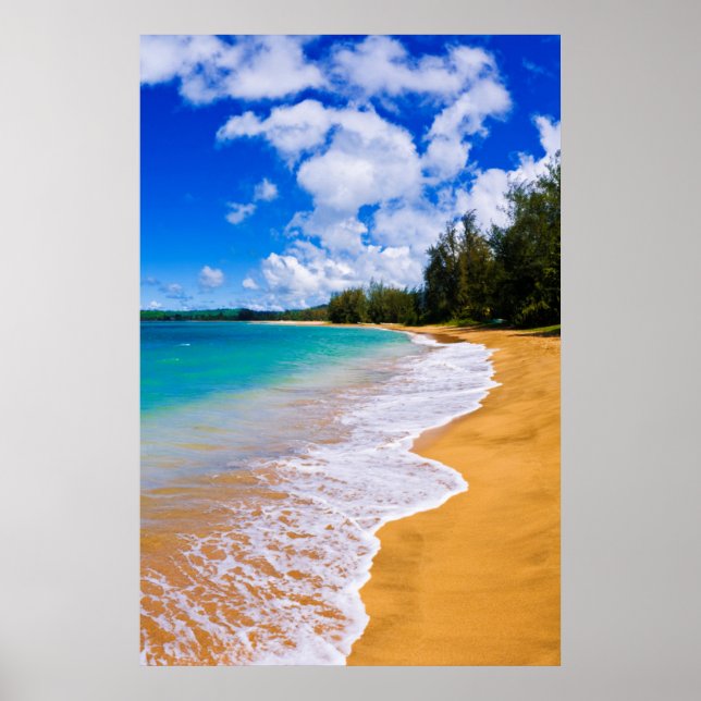 Poster Paraíso de praia tropical, Havaí (Frente)