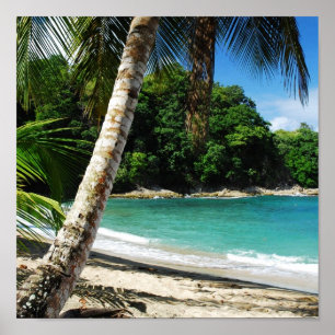 Póster Paraíso de Tobago - ilha