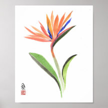 Paraíso em Flor