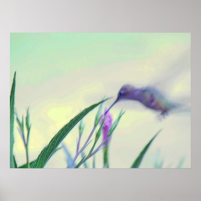 Póster Paraíso Roxo (Frente)