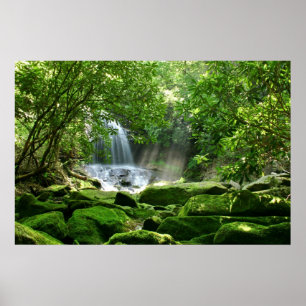 Póster Paraíso secreto (quedas de Charlie, North