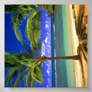 Poster Paraíso tropical da praia
