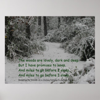 Poster Parando por Woods Snow