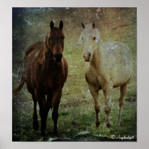 Póster Parceiros de Cavalo Grunge