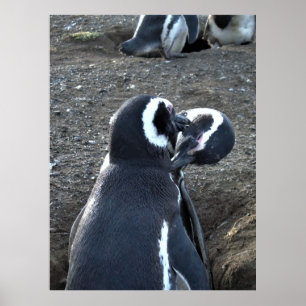Poster Parceiros de preparação