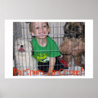 Póster Parceiros No Crime!