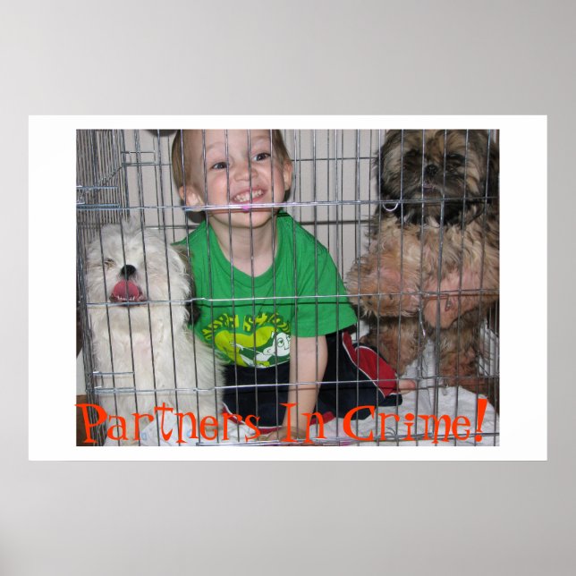 Póster Parceiros No Crime! (Frente)