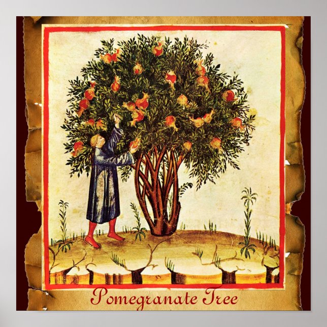 PÓSTER PARCHE ANTI-ÁRVORE POMEGRANATO (Frente)