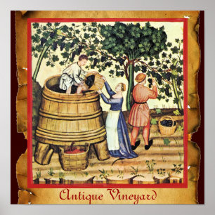POSTER PARCHE DE COLHEITA DE VINHA DE UVA ANTIGA