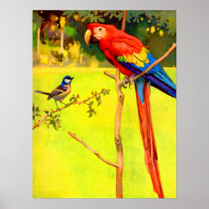 Poster pardal e papagaio