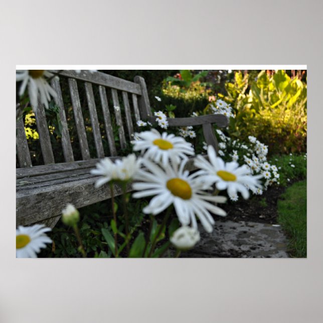 Póster Pare De Cheirar As Daises (Frente)