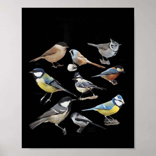 Poster Pare de olhar para minha citação engraçada de quem (Frente)