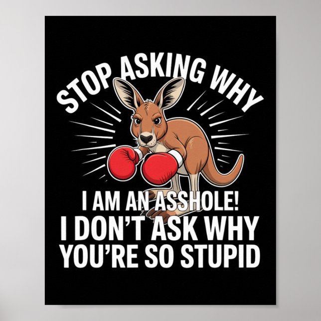 Poster Pare De Perguntar Por Que Eu Sou Um Buraco (Frente)