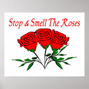 Póster Pare e cheire os rosas
