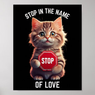Poster Pare Em Nome do Amor
