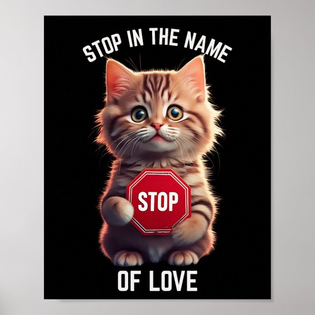 Poster Pare Em Nome do Amor (Frente)