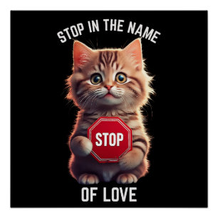 Póster Pare Em Nome do Amor
