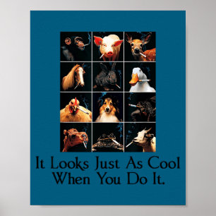 Poster Parece muito legal quando você faz animais engraça