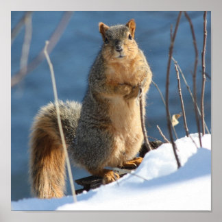 Póster Parece que perdi meus loucos!