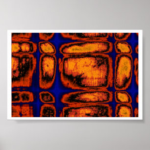 Póster paredes celulares