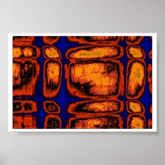 Póster paredes celulares