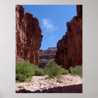 Poster Paredes de Antiguidade