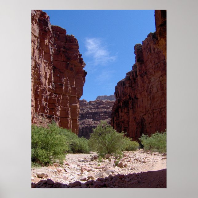 Poster Paredes de Antiguidade (Frente)