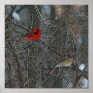 Poster Pares cardinais