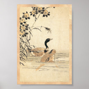 Poster Pares de gansos com arte do japonês do vintage da