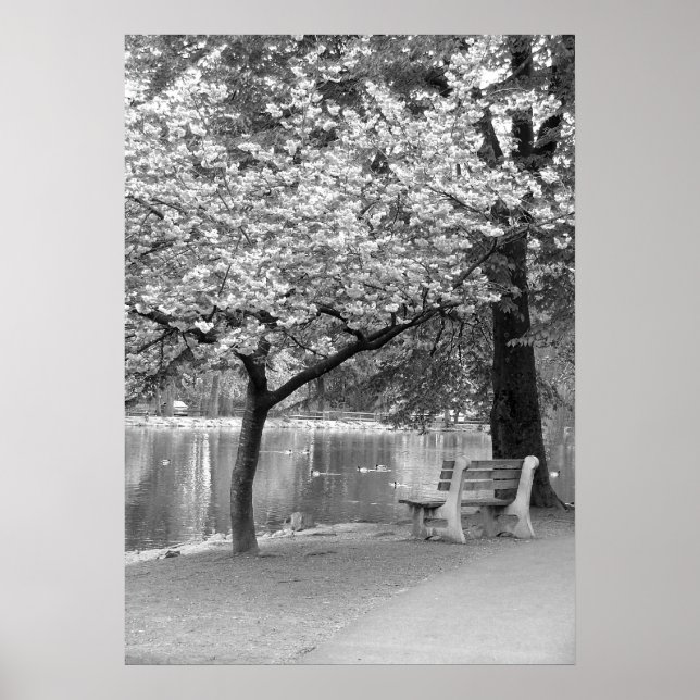 Poster Park Bench (Frente)