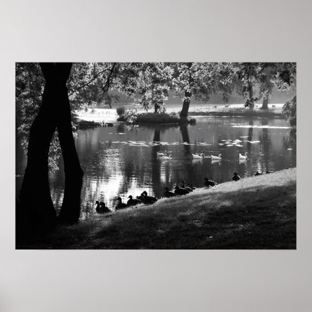 Poster Park Life Wapcn (Frente)