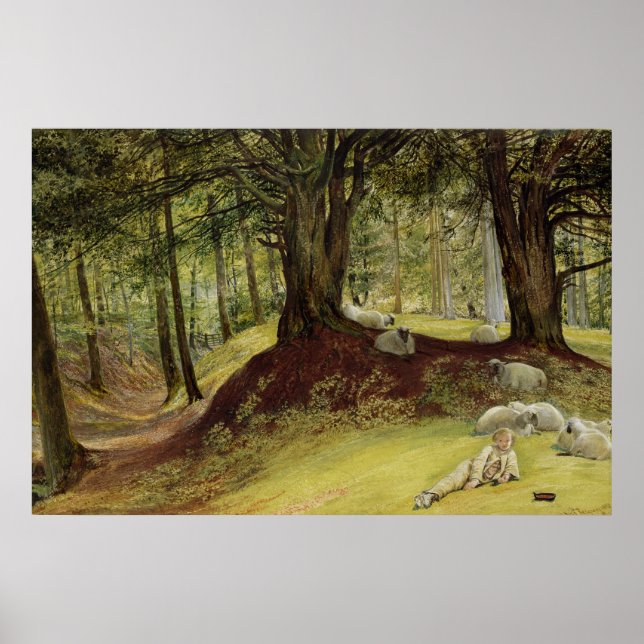 Póster Parkhurst Woods, Abinger, Surrey (Frente)