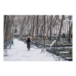 Póster Parque Bryant Neve