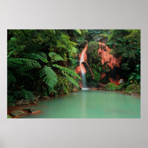 Poster Parque Caldeira Velha, Açores