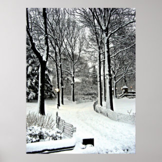 Póster Parque Central 2010 Neve - CIMG6446