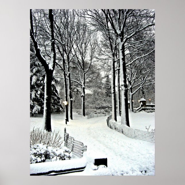 Póster Parque Central 2010 Neve - CIMG6446 (Frente)