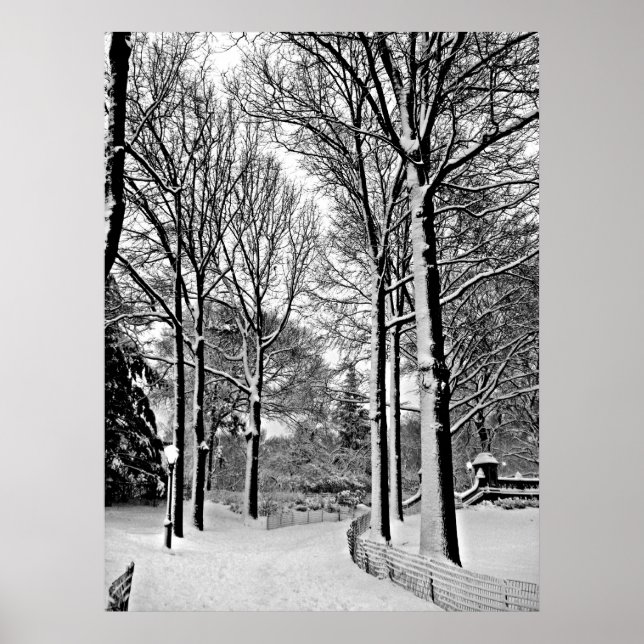 Poster Parque Central 2010 Neve - CIMG6447-a (Frente)