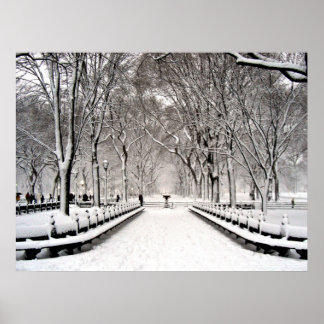 Póster Parque Central 2010 Neve - CIMG6496