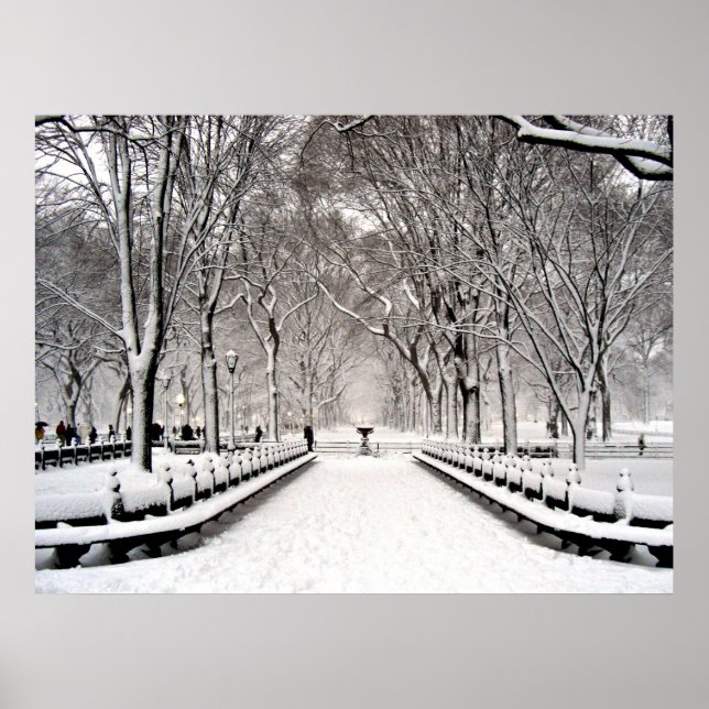 Póster Parque Central 2010 Neve - CIMG6496 (Frente)