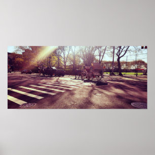 POSTER PARQUE CENTRAL DE NOVA IORQUE