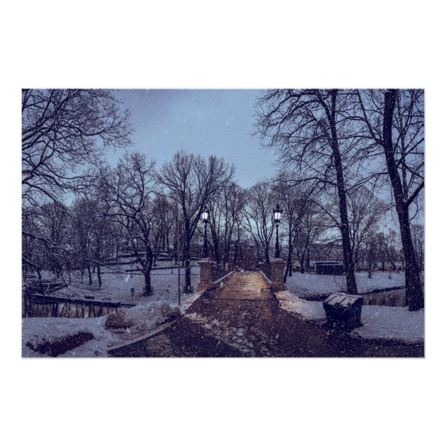 Póster Parque da cidade nevado no inverno à noite (Frente)