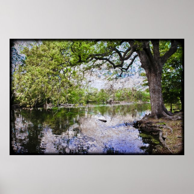 Poster Parque de Audubon (Frente)