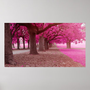 Poster Parque de fantasia rosa