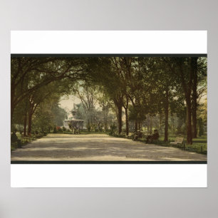 Poster Parque de Forsyth, savana, Geórgia cerca de 1901